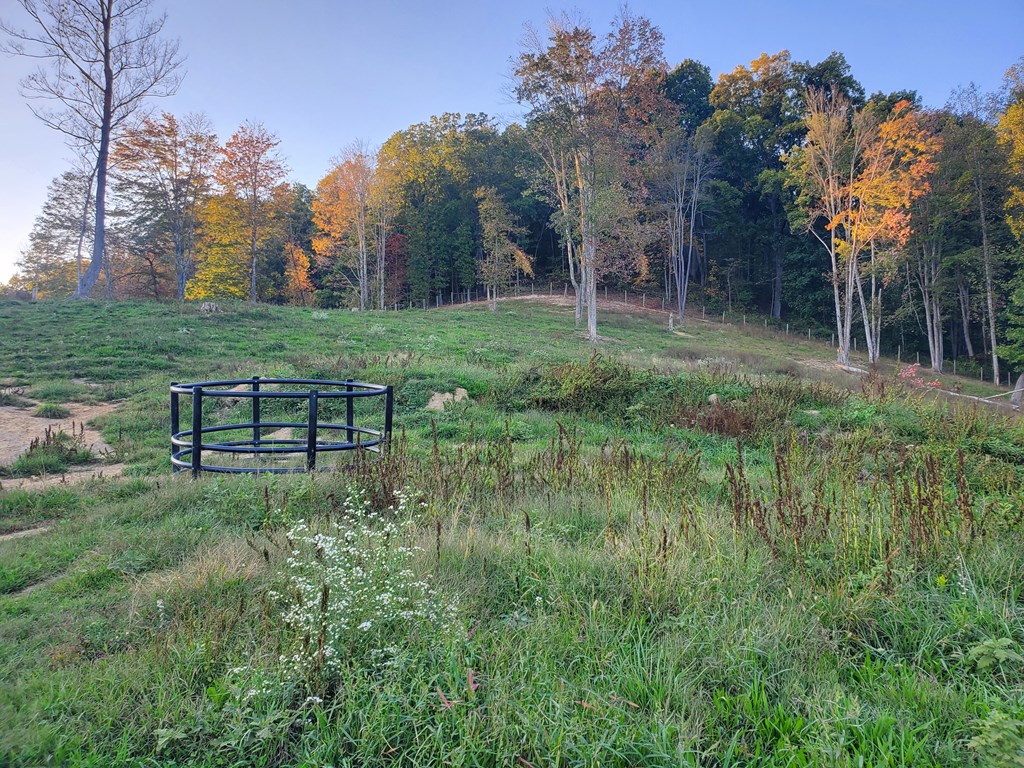 424 Sun Road, Glen Jean, West Virginia image 18