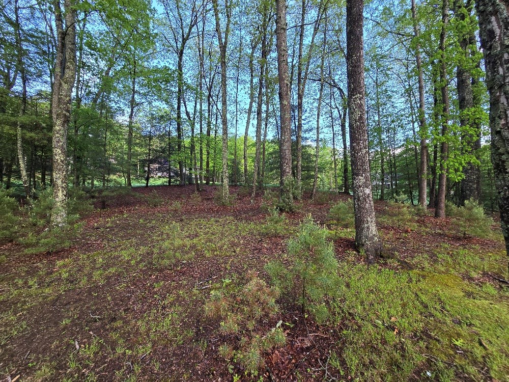 312 Edwards Drive, Daniels, West Virginia image 6