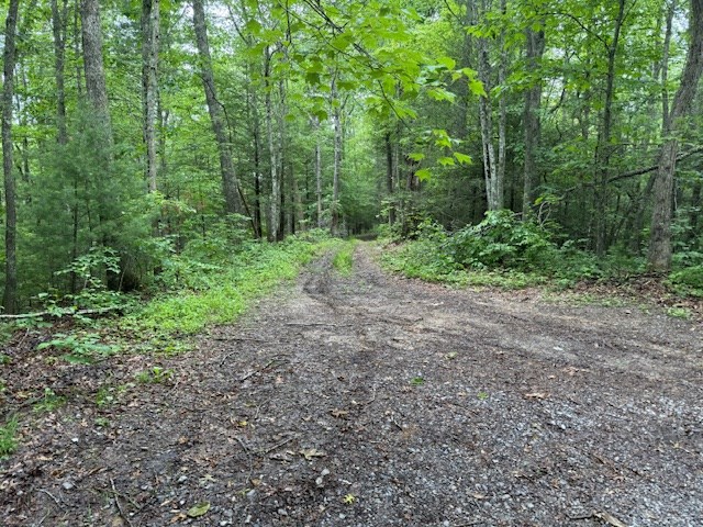 000 Beckley Rd, Camp Creek, West Virginia image 11