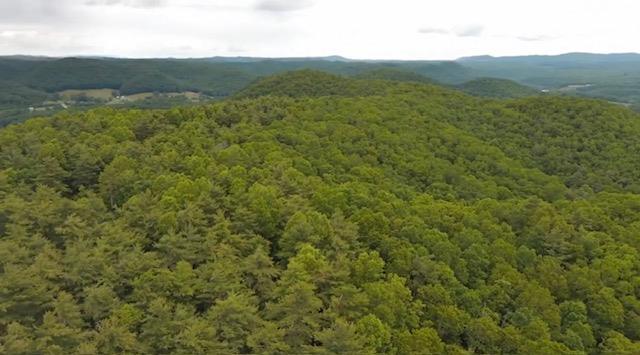 000 Beckley Rd, Camp Creek, West Virginia image 1