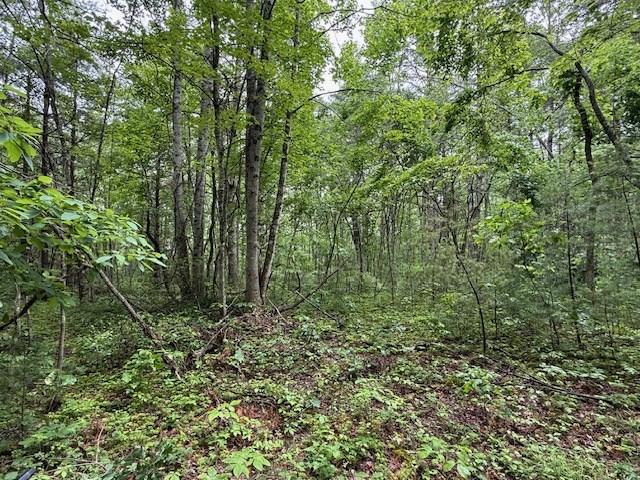 000 Beckley Rd, Camp Creek, West Virginia image 6