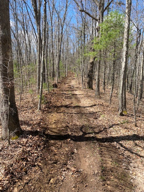 000 Beckley Rd, Camp Creek, West Virginia image 3