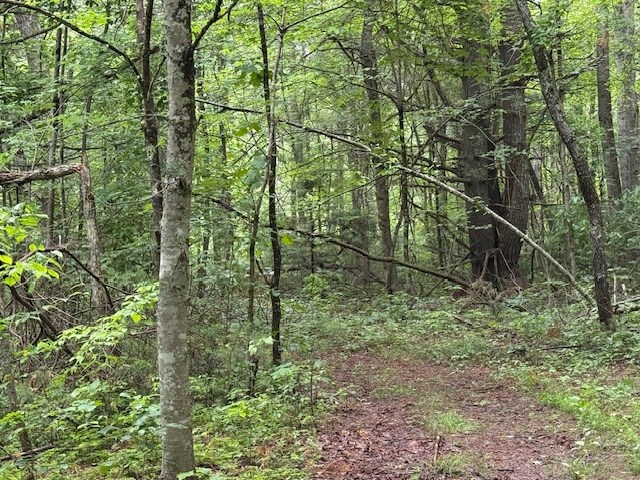 000 Beckley Rd, Camp Creek, West Virginia image 5