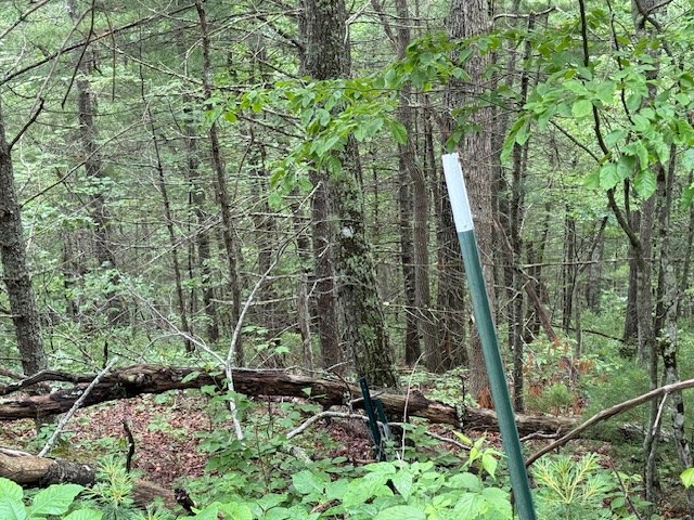 000 Beckley Rd, Camp Creek, West Virginia image 9