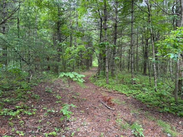 000 Beckley Rd, Camp Creek, West Virginia image 2