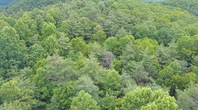 000 Beckley Rd, Camp Creek, West Virginia image 12