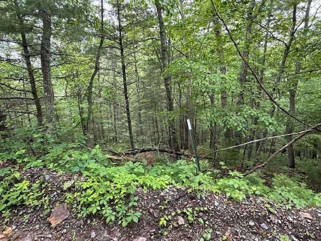 000 Beckley Rd, Camp Creek, West Virginia image 8