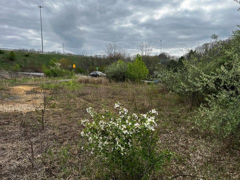 Vacant Land For Sale - Robert C Byrd Drive<br/> Raleigh County, Beckley, WV 25801