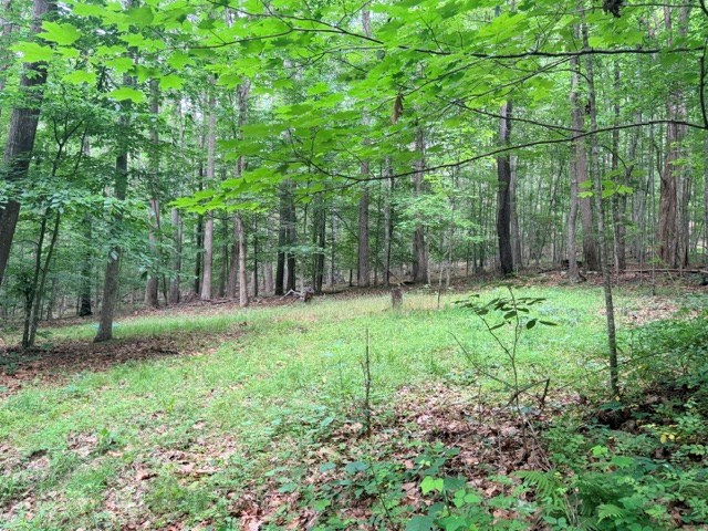 000 Molly Mann Rd - Photo 4