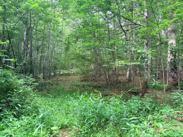 000 Molly Mann Rd - Photo 2