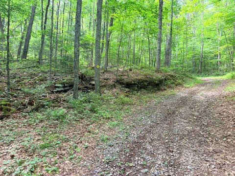 Vacant Land For Sale - 000 Molly Mann Rd<br/> Hinton, WV 25951