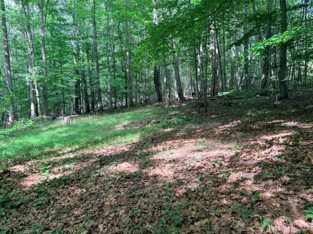 000 Molly Mann Rd - Photo 3