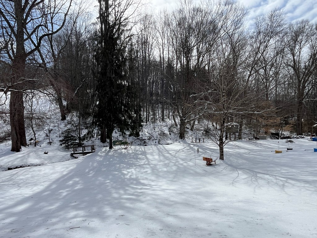 109 Baileys Knoll, Bolt, West Virginia image 40