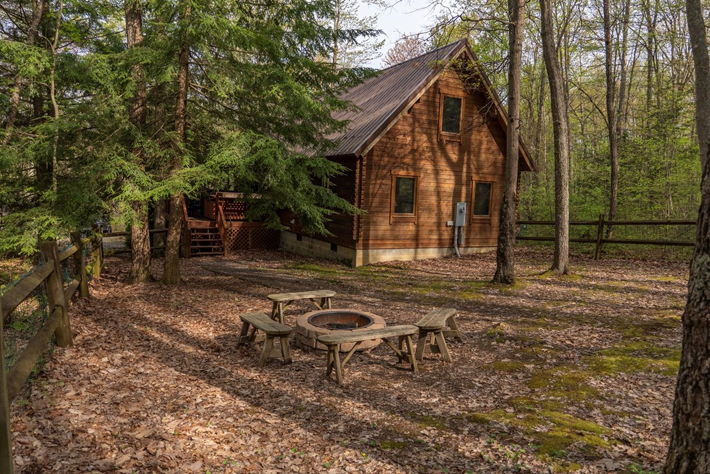 000 Mallard Rd, Hico, West Virginia image 19