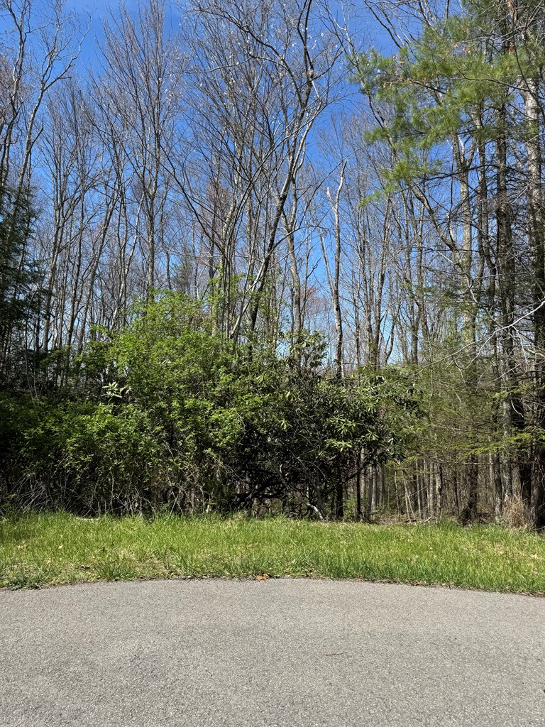 250 Glen Planters Lane, Daniels, West Virginia image 3
