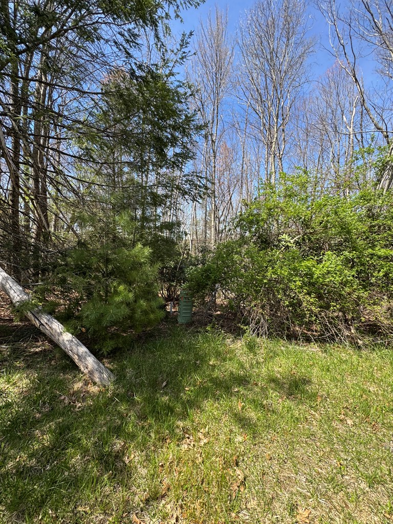 250 Glen Planters Lane, Daniels, West Virginia image 4