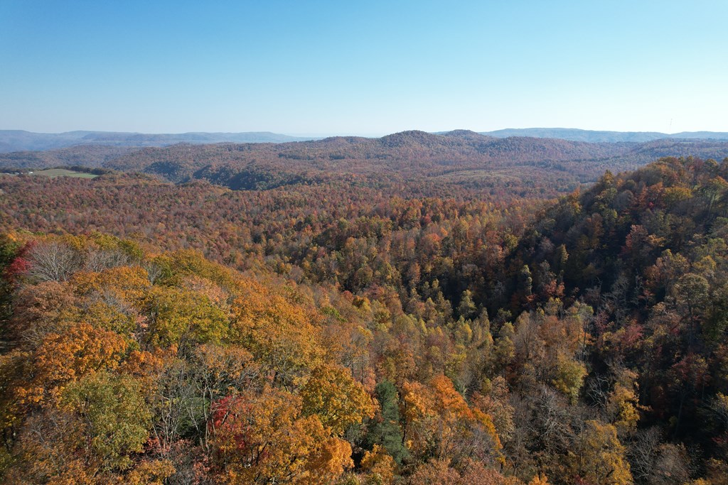 00 Flatwoods Road, Shady Spring, West Virginia image 9