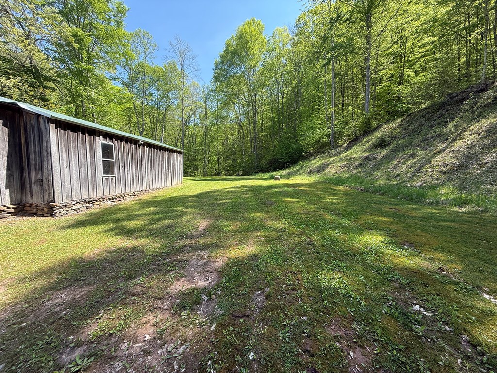 868 Mini Herb Store Road, Hinton, West Virginia image 5