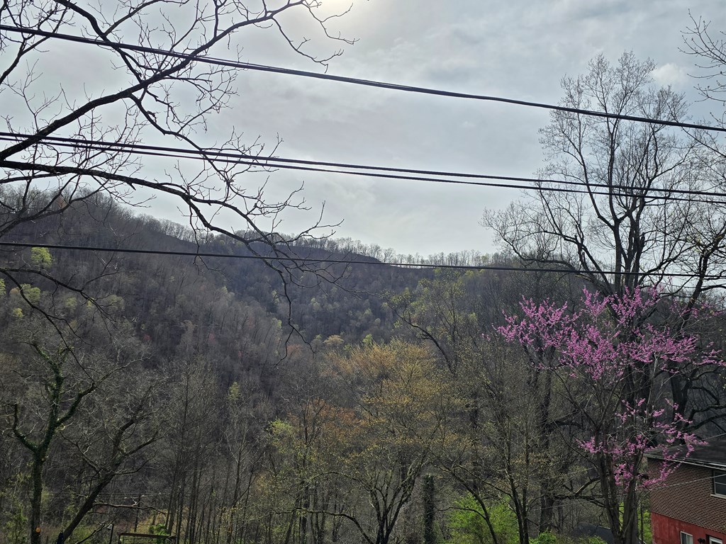 91 Oak Street, Gauley Bridge, West Virginia image 7