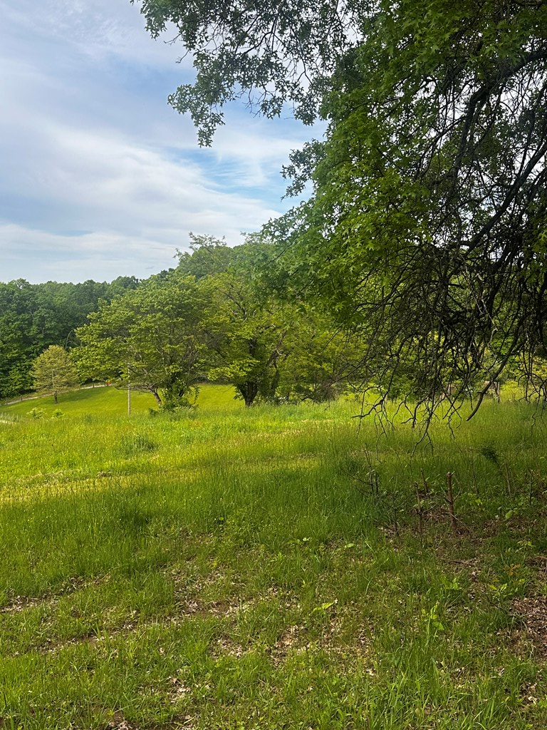 1713 Mountain View Parkway, Alderson, West Virginia image 17