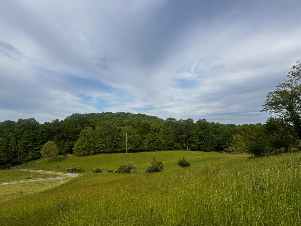 1713 Mountain View Parkway, Alderson, West Virginia image 18