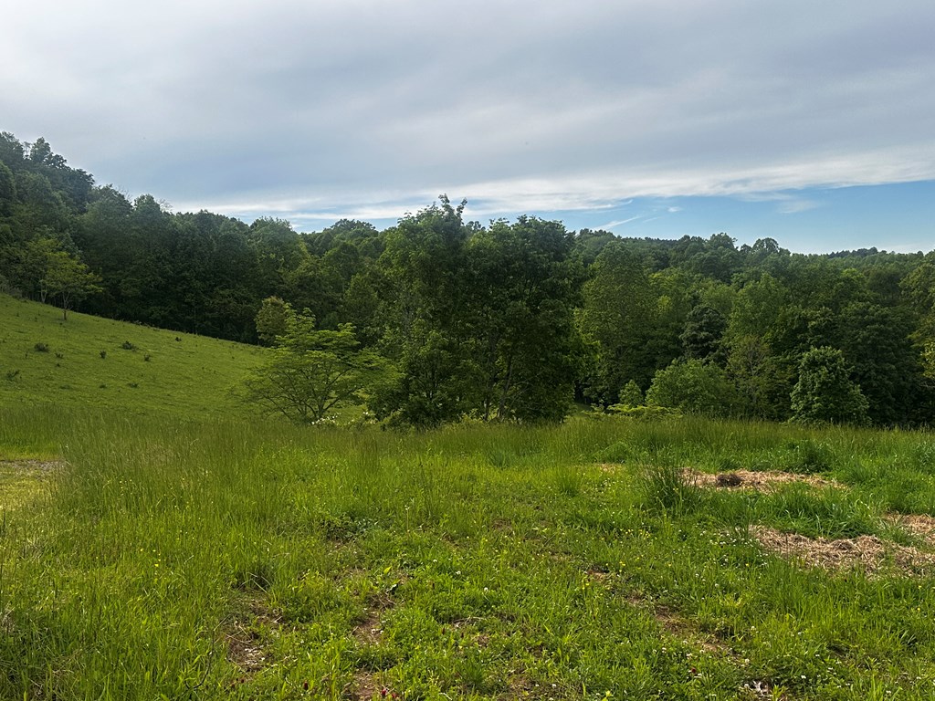1713 Mountain View Parkway, Alderson, West Virginia image 14