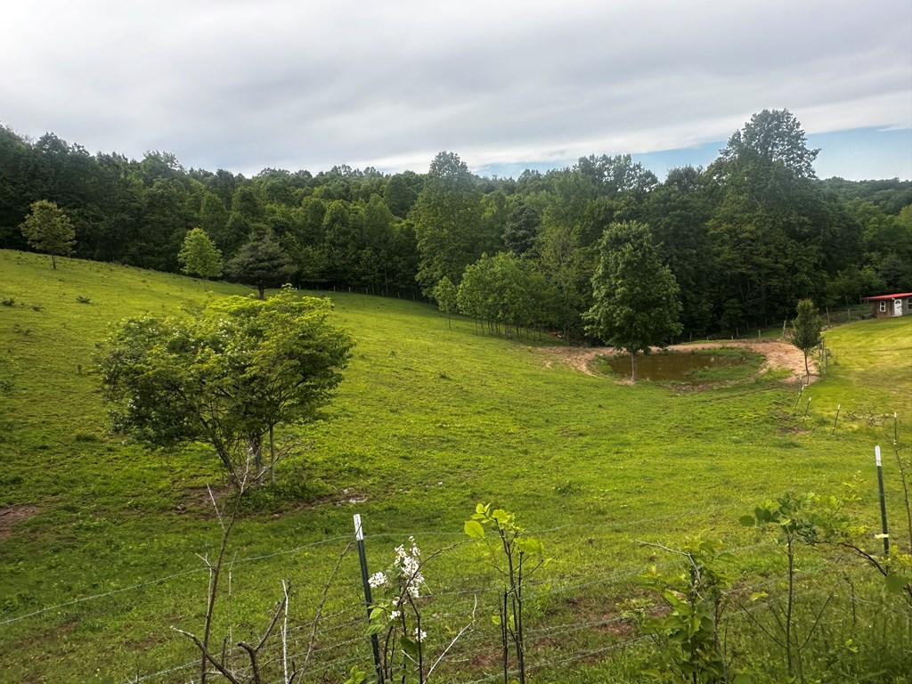 1713 Mountain View Parkway, Alderson, West Virginia image 12