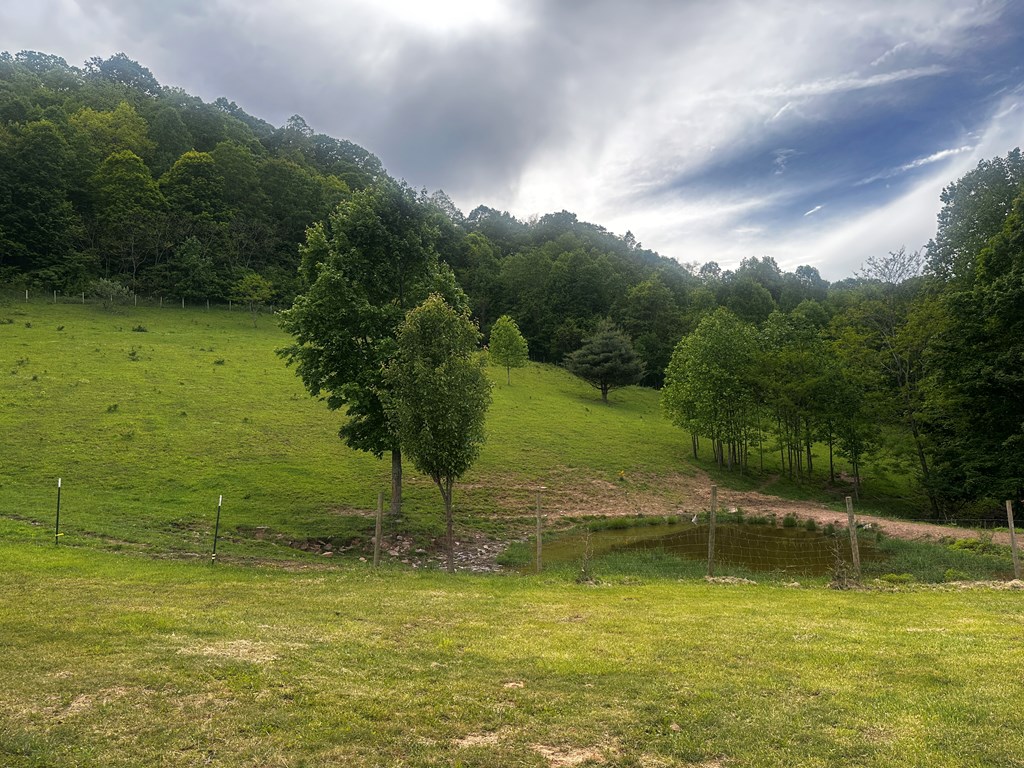1713 Mountain View Parkway, Alderson, West Virginia image 24