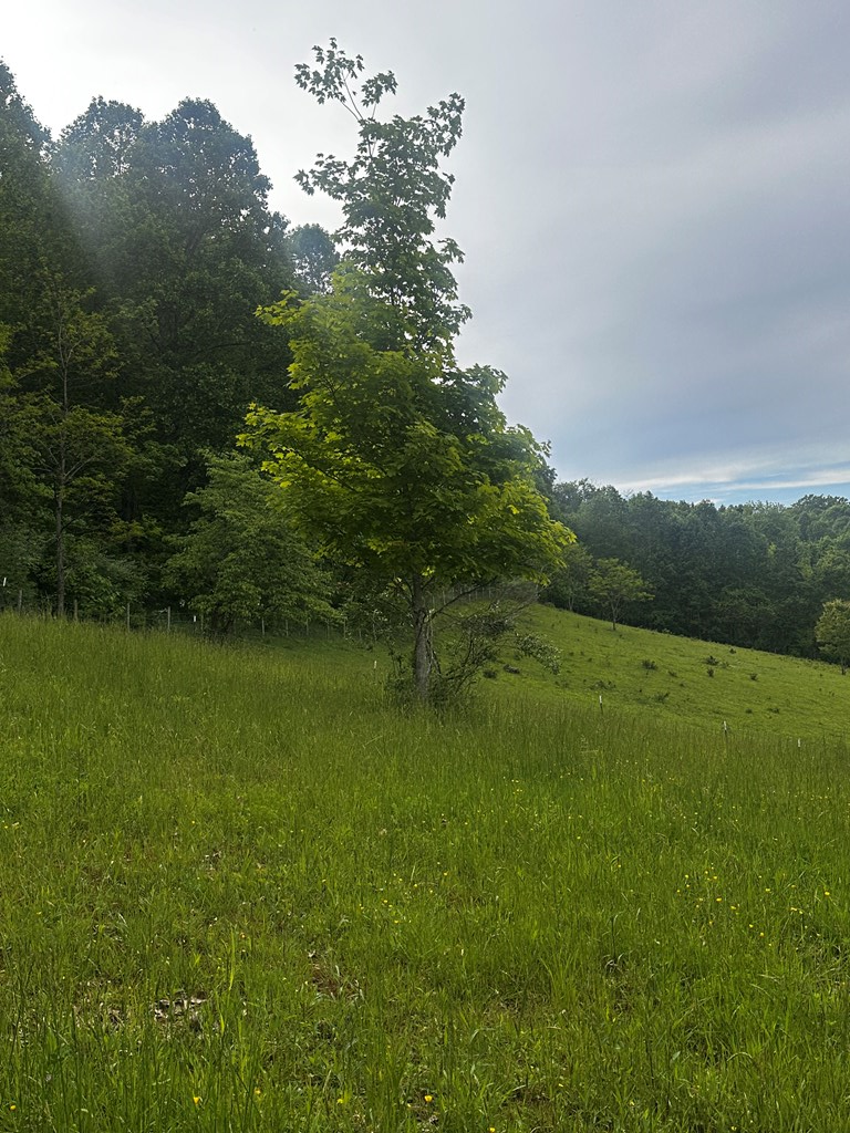 1713 Mountain View Parkway, Alderson, West Virginia image 15