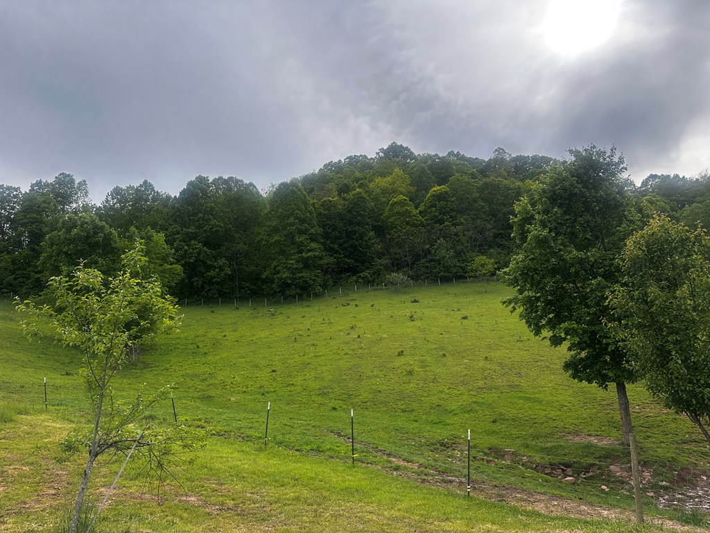1713 Mountain View Parkway, Alderson, West Virginia image 13