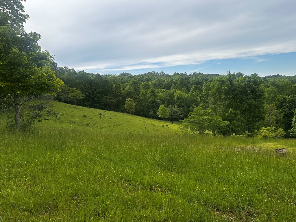 1713 Mountain View Parkway, Alderson, West Virginia image 10