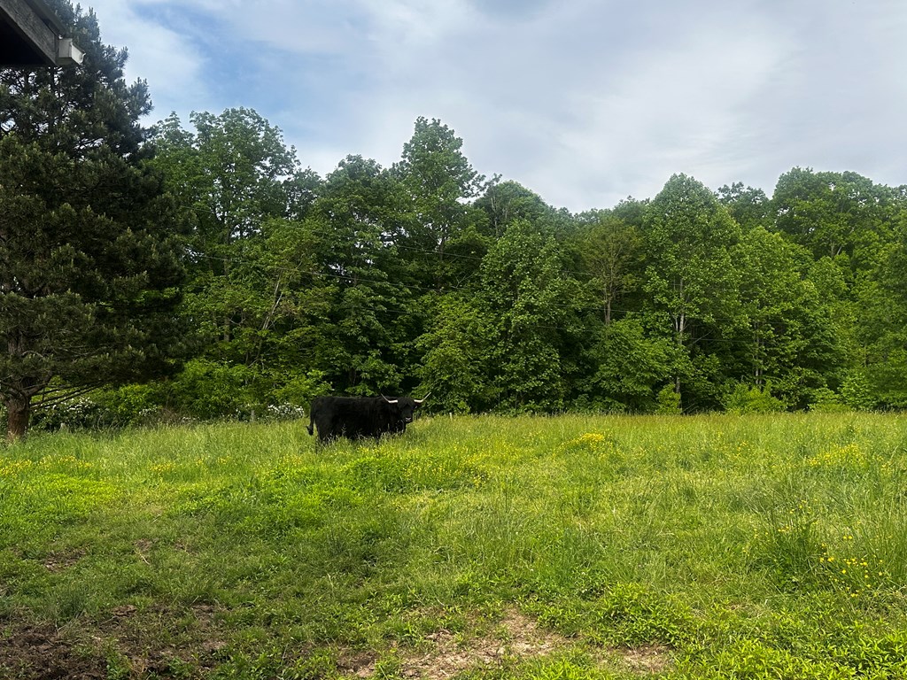 1713 Mountain View Parkway, Alderson, West Virginia image 45