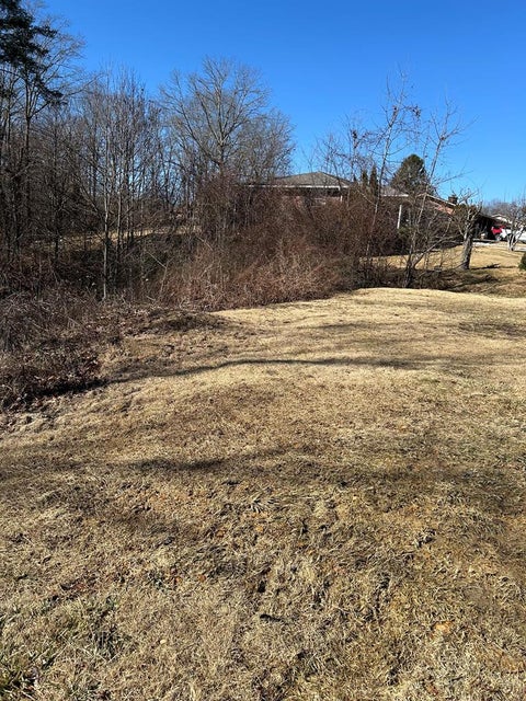 Vacant Land For Sale - 406 Overlook Dr<br/> Beckley, WV 25801