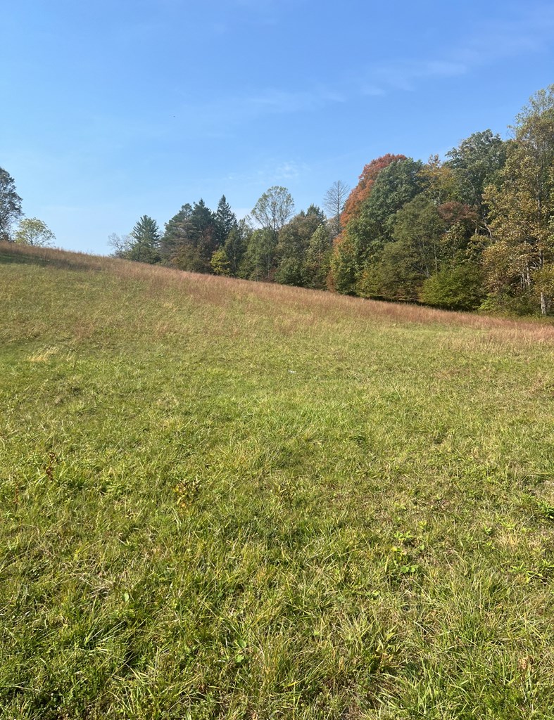 Reedy Addition Road, Craigsville, West Virginia image 4