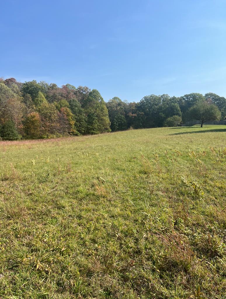 Reedy Addition Road, Craigsville, West Virginia image 2