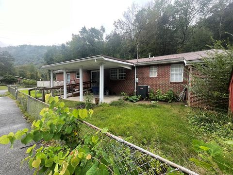 Homes For Sale - 270 Ramey Addition Rd<br/> Wyoming County, Pineville, WV 24874