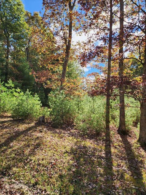Vacant Land For Sale - 125 March Chapel Ln<br/> Daniels, WV 25832