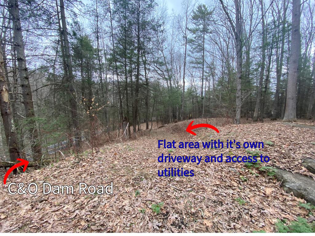 1599 C&o Dam Road, Daniels, West Virginia image 4