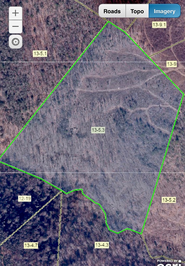 Basham Branch Rd, Jumping Branch, West Virginia image 2
