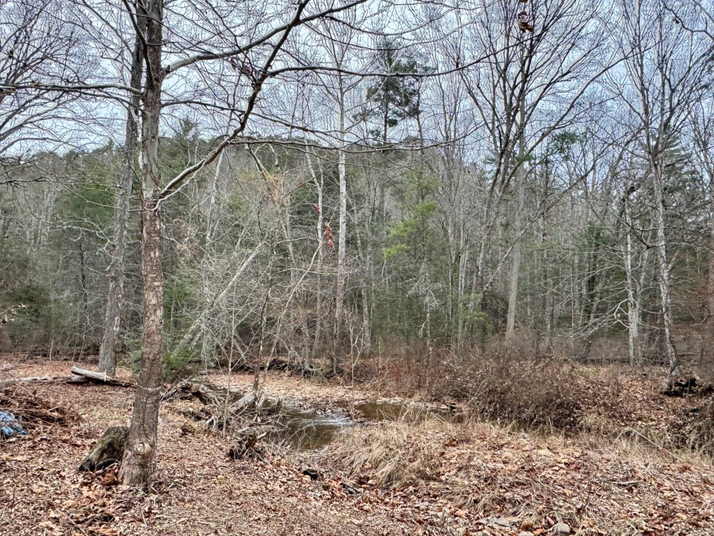 1079 Sherwood Lake Road, White Sulphur Springs, West Virginia image 8