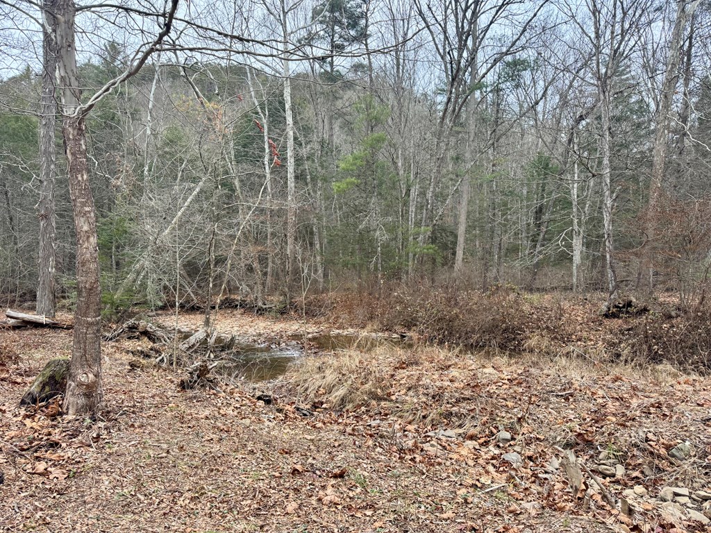 1079 Sherwood Lake Road, White Sulphur Springs, West Virginia image 9