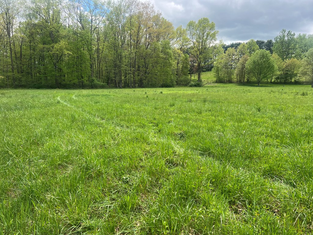 Country Woods Road, Crawley, West Virginia image 27