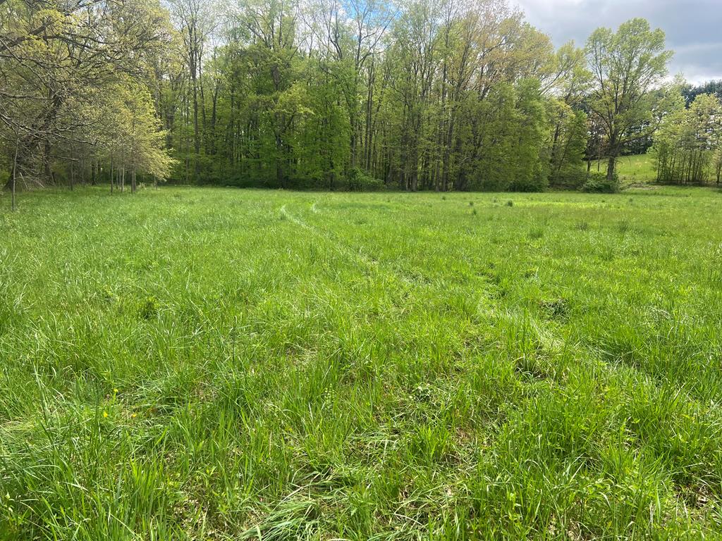 Country Woods Road, Crawley, West Virginia image 1