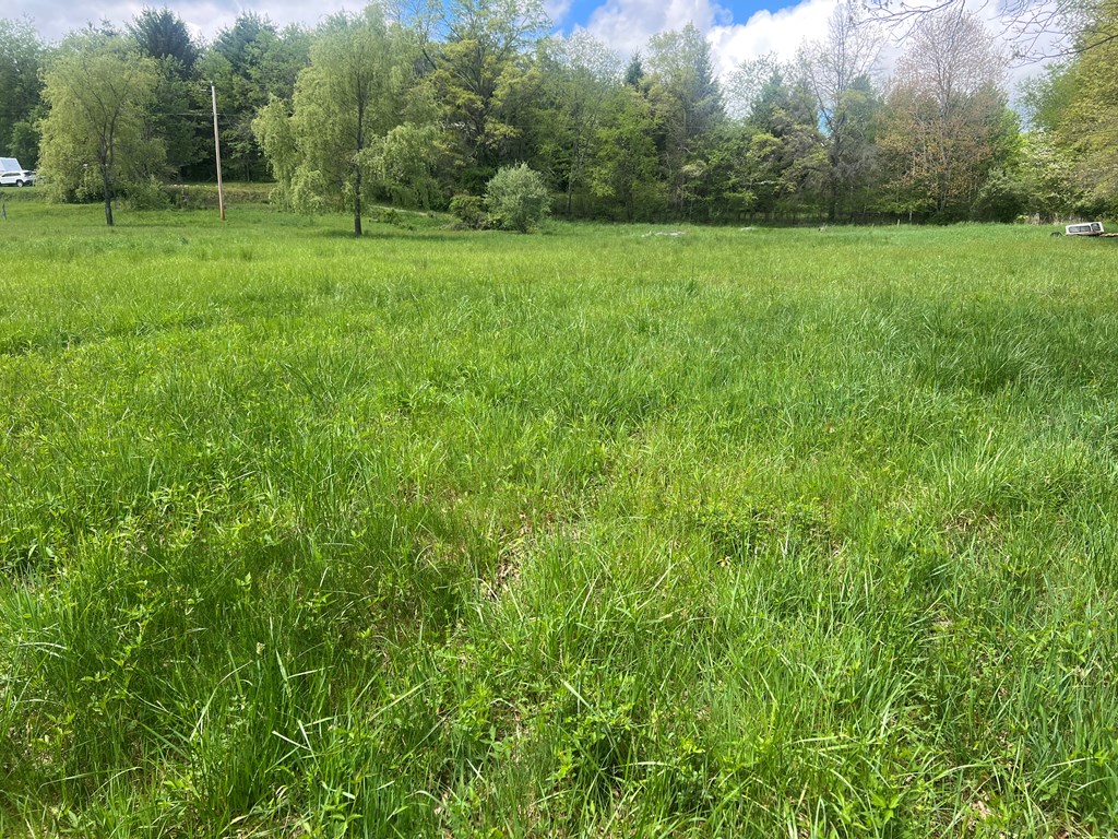 Country Woods Road, Crawley, West Virginia image 25