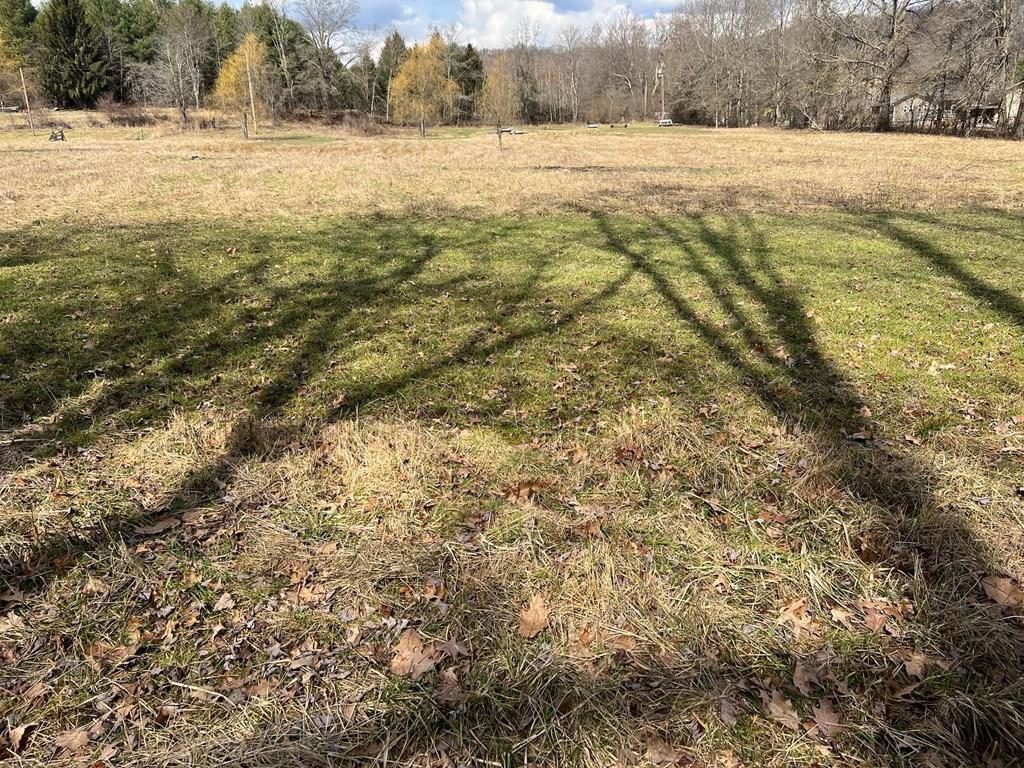 Country Woods Road, Crawley, West Virginia image 26