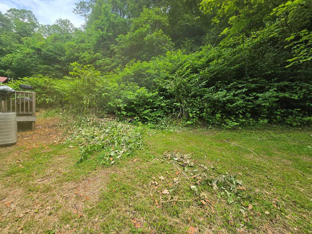 464 Coke Oven Hollow Road, Page, West Virginia image 4