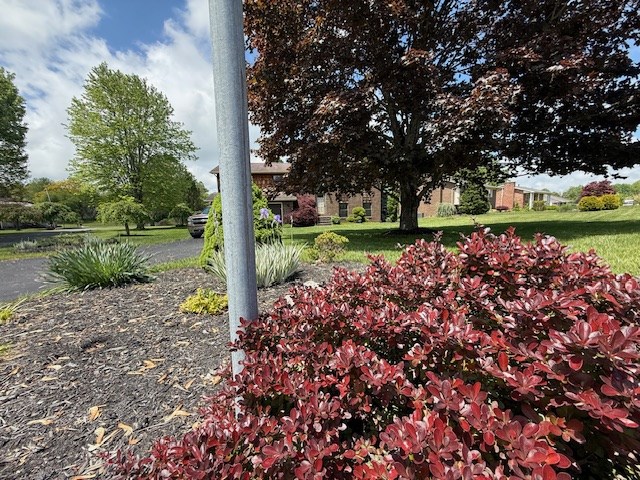 101 Forest View Dr, Beckley, West Virginia image 32