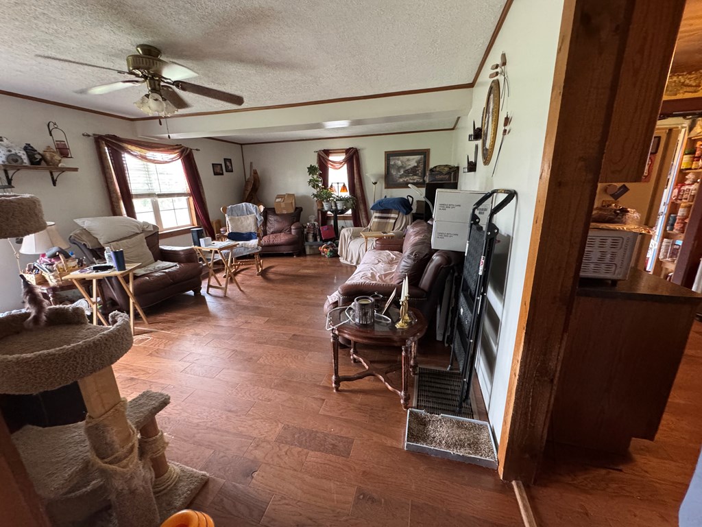 510 Robin Roost Road, Jumping Branch, West Virginia image 4