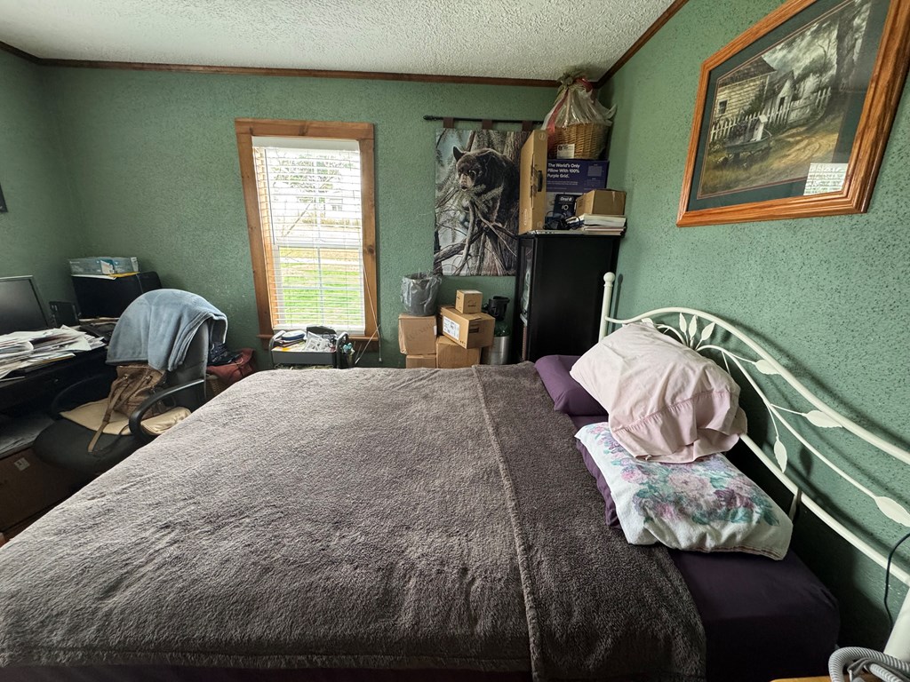 510 Robin Roost Road, Jumping Branch, West Virginia image 11