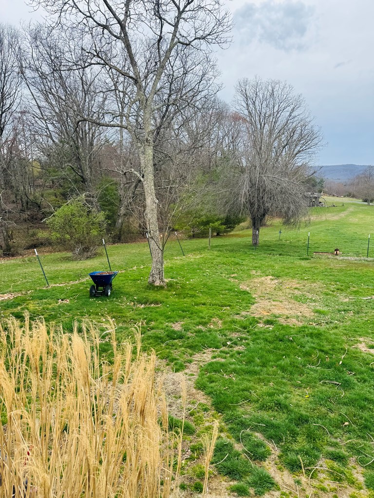 510 Robin Roost Road, Jumping Branch, West Virginia image 15